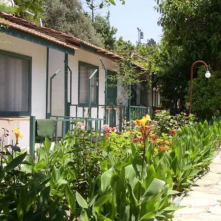 Mutlu